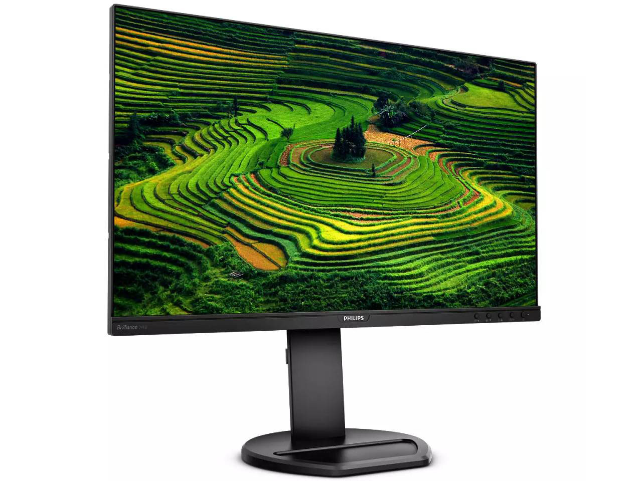 241B8QJEB/11 [23.8�C���` �u���b�N]