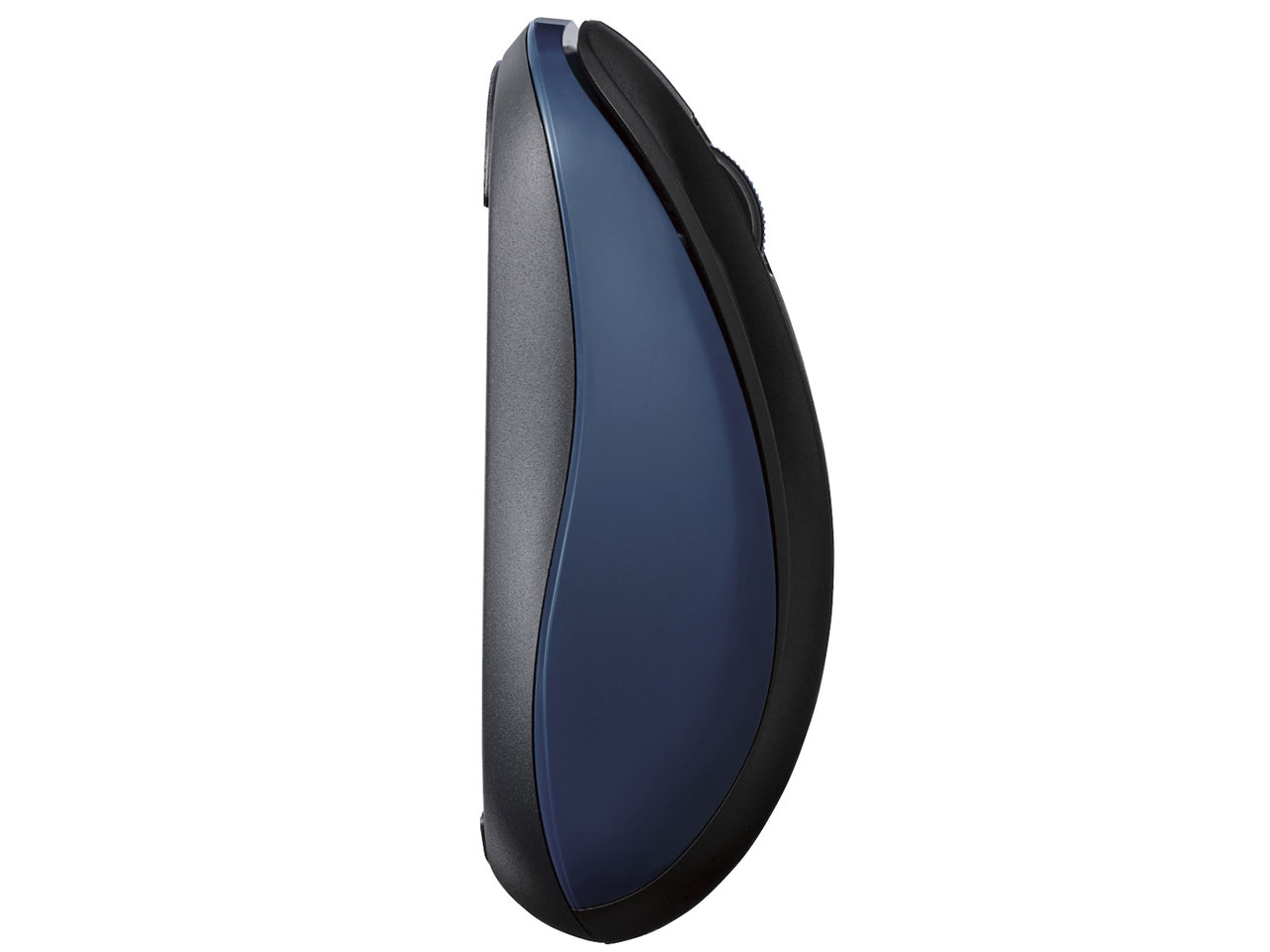 M-BY11BRBU [�u���[]