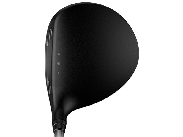 G425 SFT �t�F�A�E�F�C�E�b�h #5 [ALTA J CB SLATE �t���b�N�X�FS]