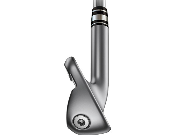 G425 �A�C�A�� 6�{�Z�b�g [NS PRO ZELOS 7 �t���b�N�X�FS]