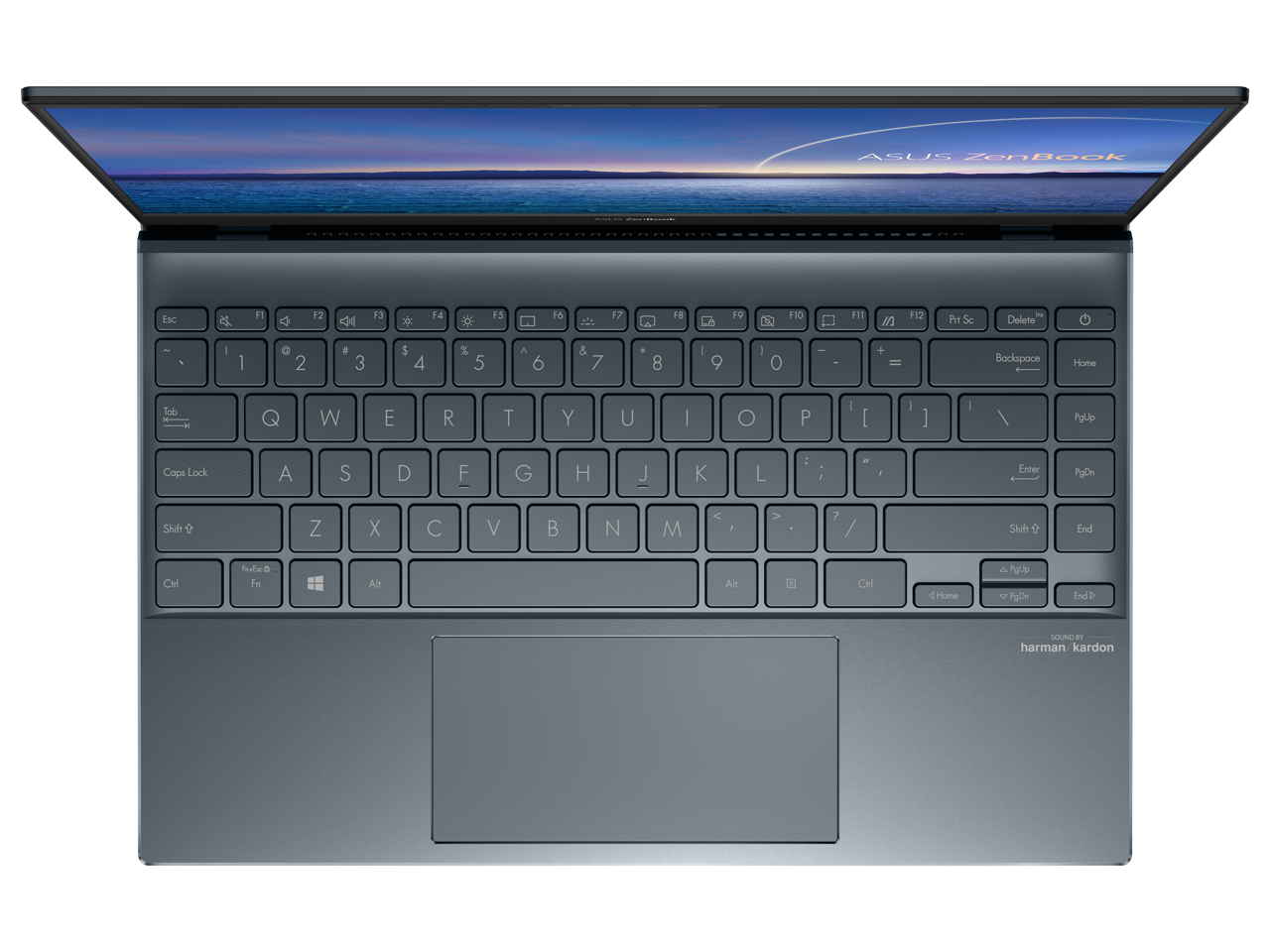 ZenBook 14 UM425IA UM425IA-AM008T