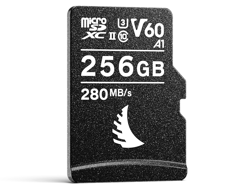 AVP256MSDV60 [256GB] �̐��i�摜