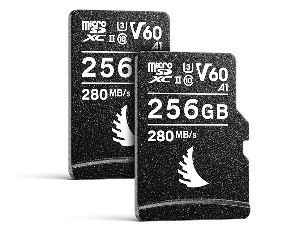 AVP256MSDV60X2 [256GB] �̐��i�摜