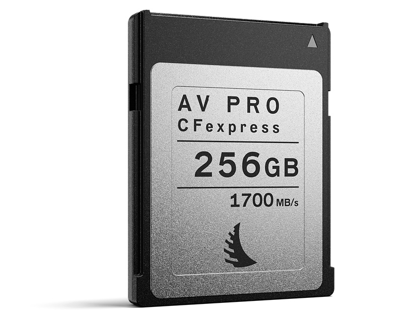 AVP256CFX [256GB] �̐��i�摜