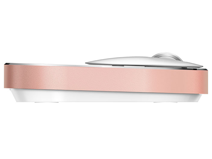 M600miniRG [���[�Y�S�[���h]