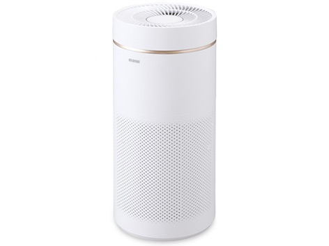 Air Cleaner IAP-A85