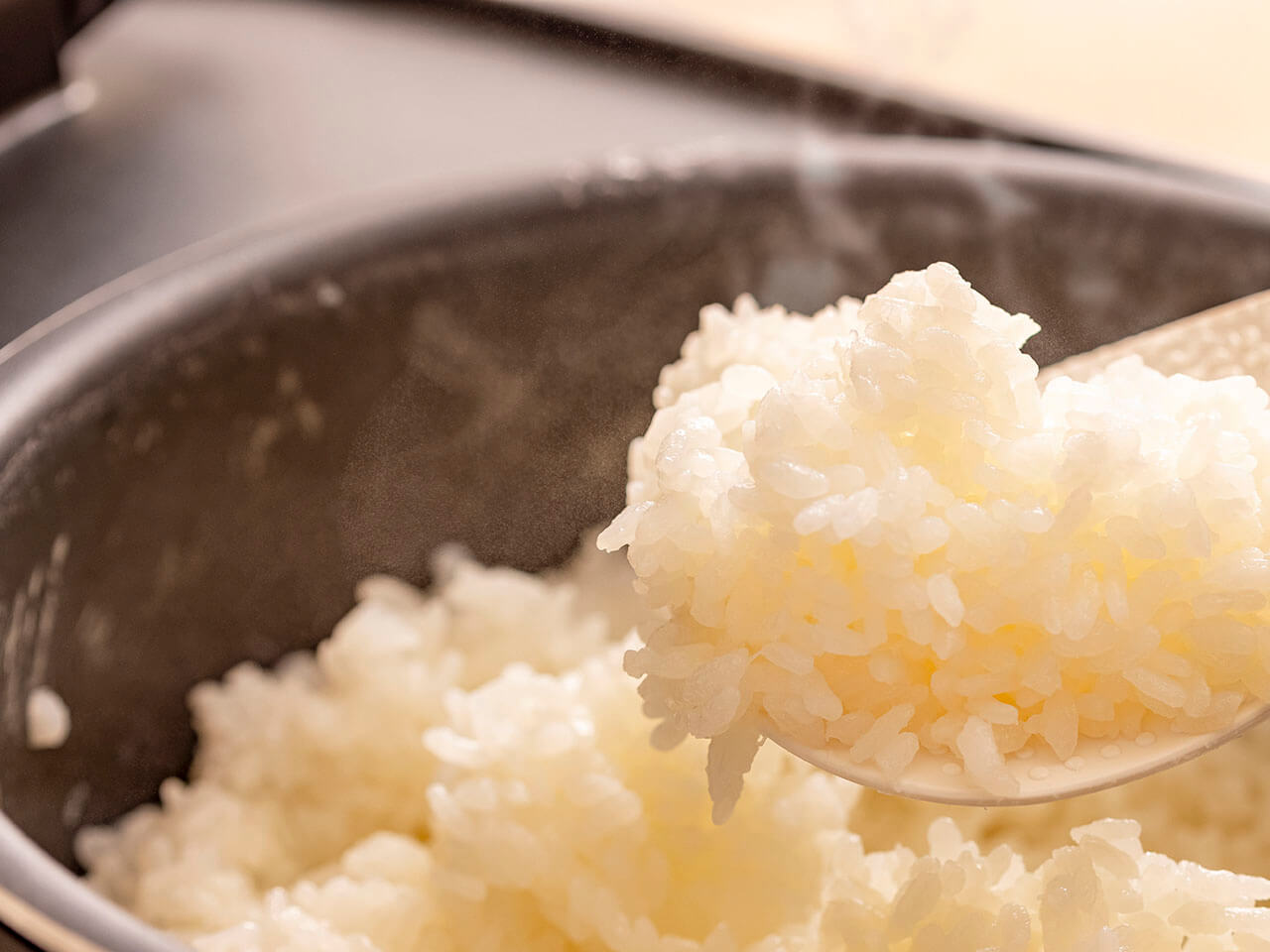 �������� RC-PD50-B [�u���b�N]