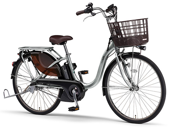 PAS With PA24W 2021�N���f�� [�s���A�V���o�[] + ��p�[�d��