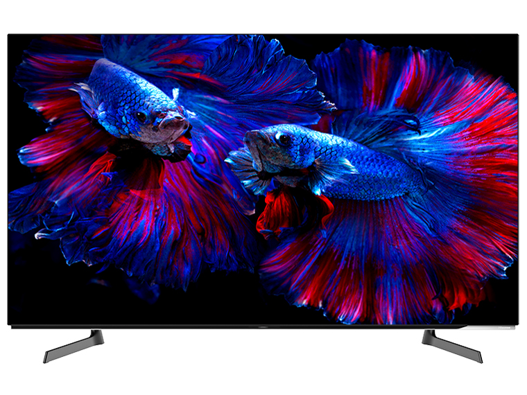 55X8F [55�C���`] �̐��i�摜