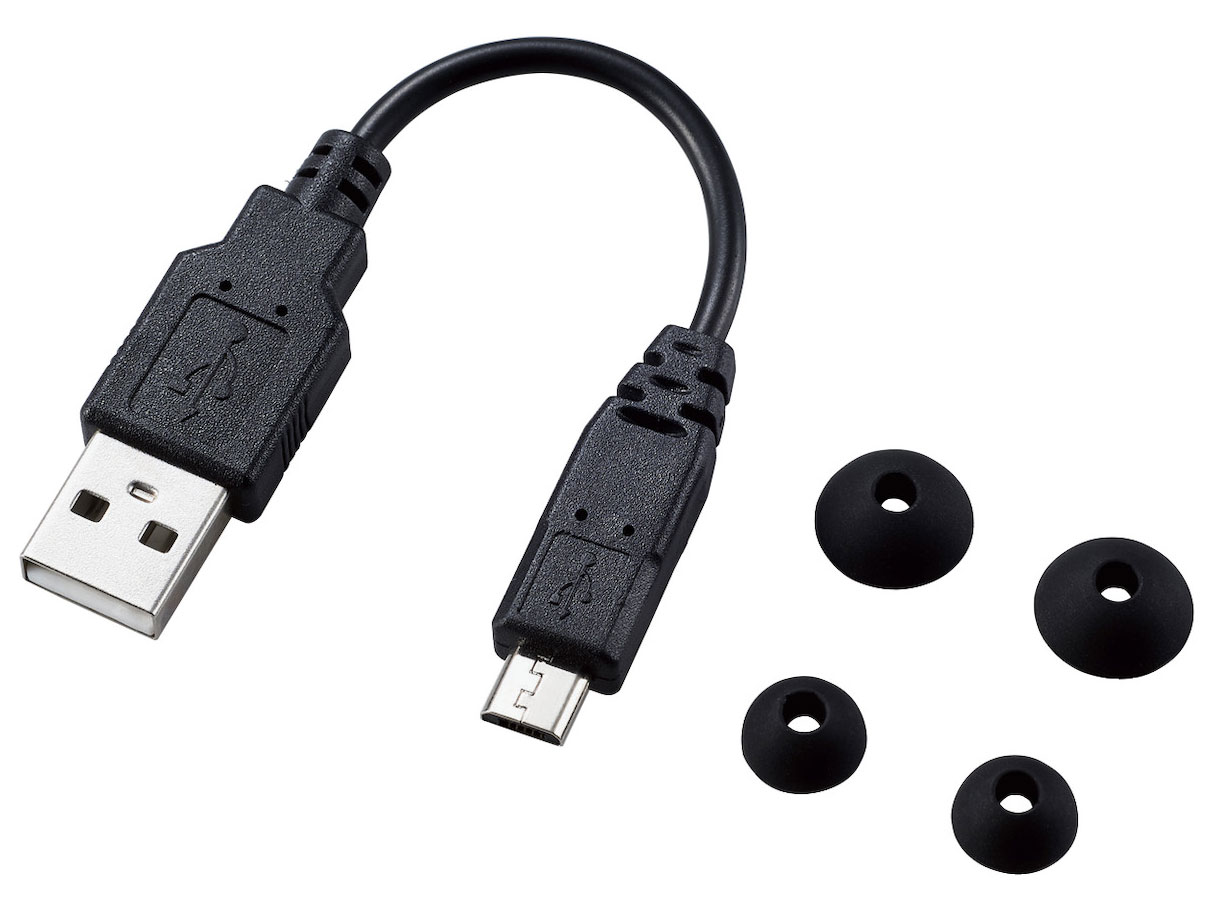 LBT-TWS10BK [�u���b�N]