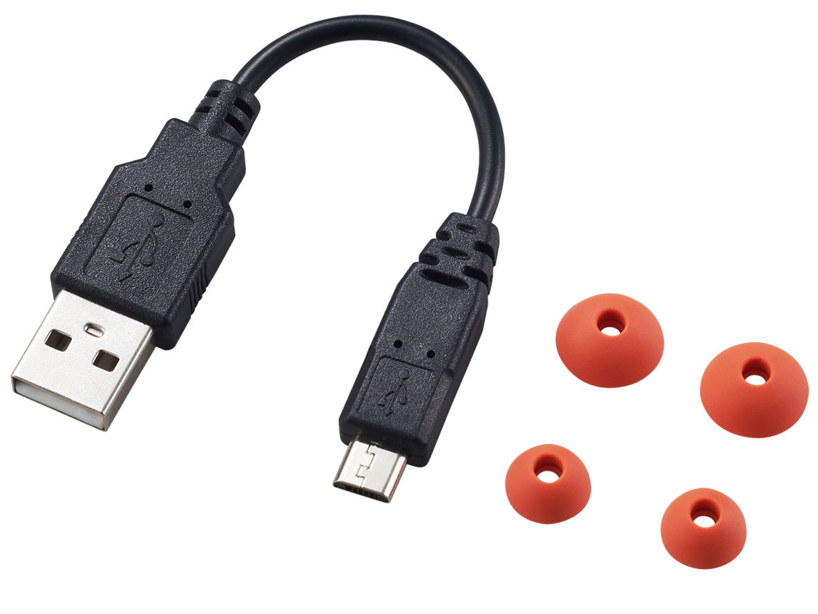 LBT-TWS10RD [���[�Y���b�h]