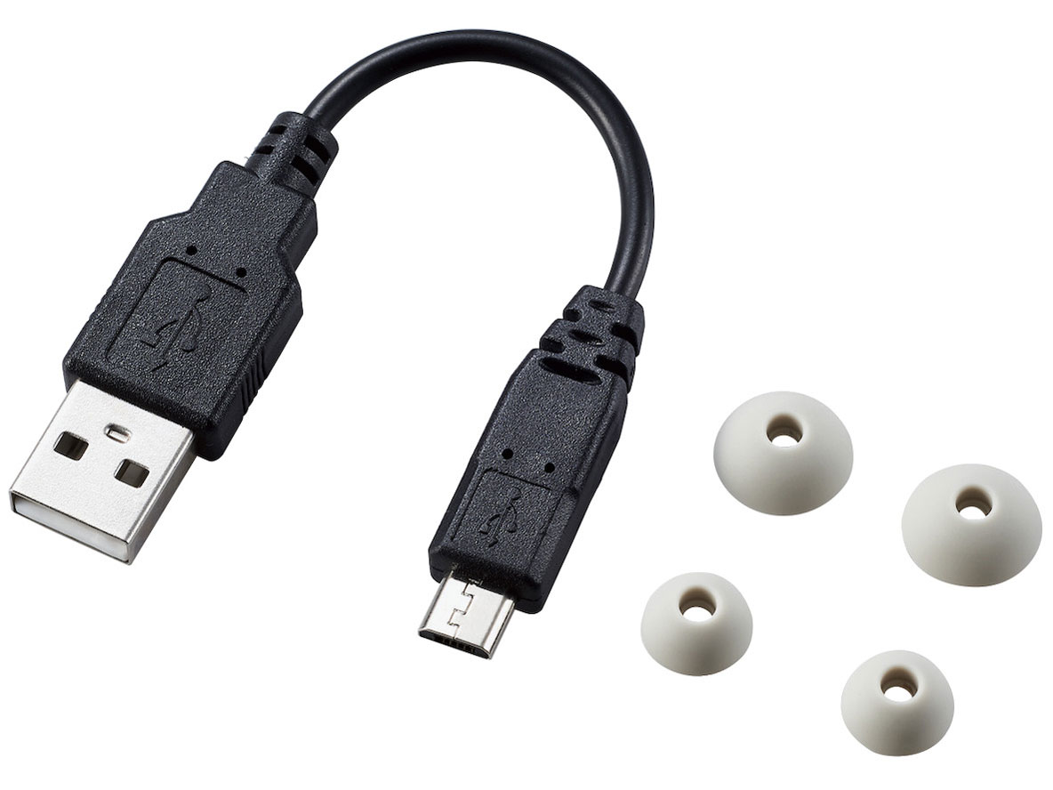 LBT-TWS10WH [�z���C�g]