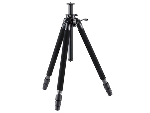 �v���t�F�b�V���i���E�W�I N630 �r�̂� �̐��i�摜