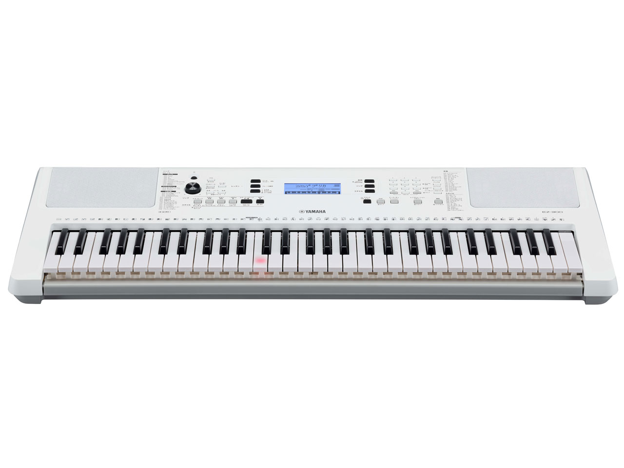 EZ-300 [�V���o�[�z���C�g]