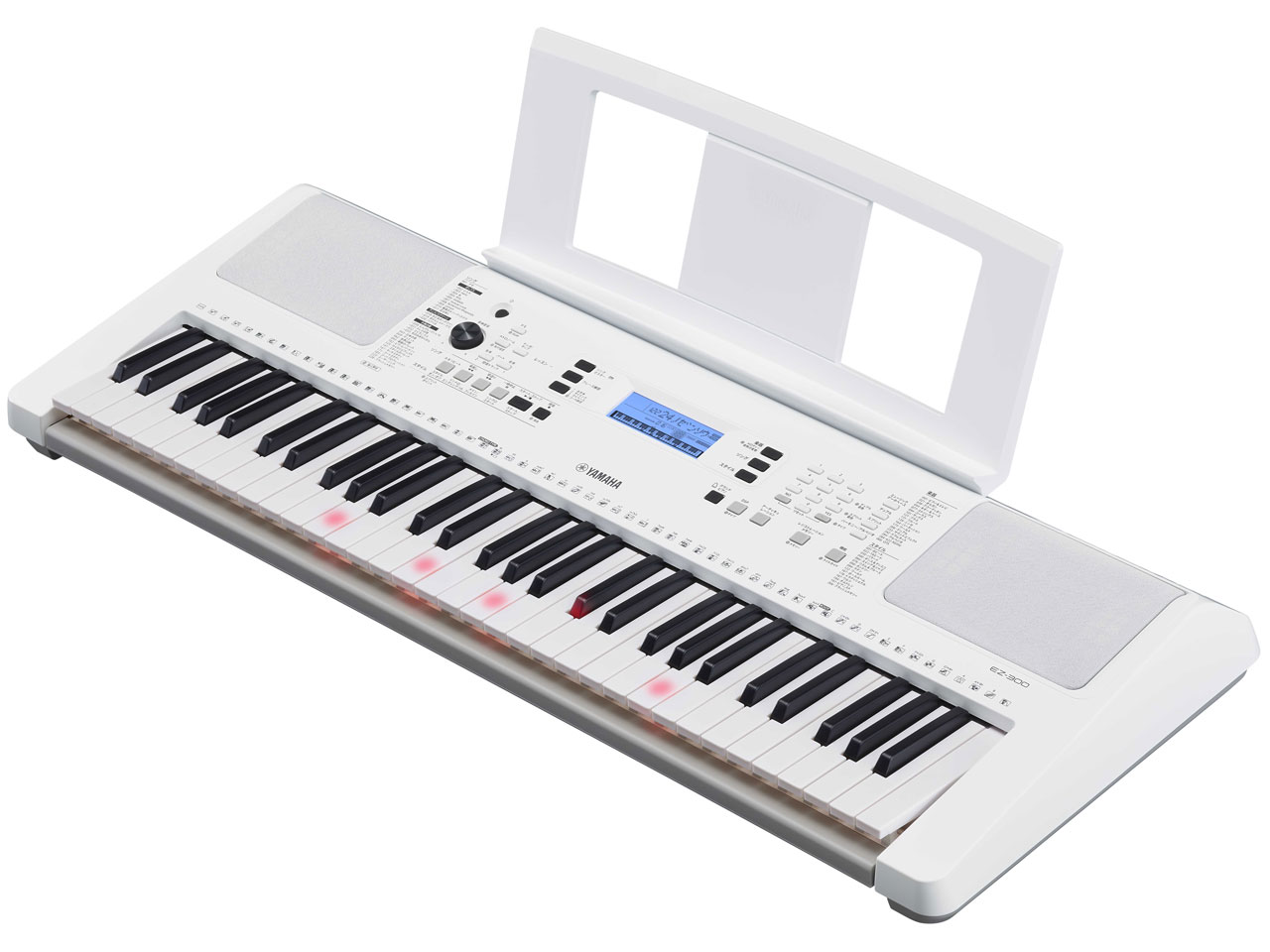 EZ-300 [�V���o�[�z���C�g]