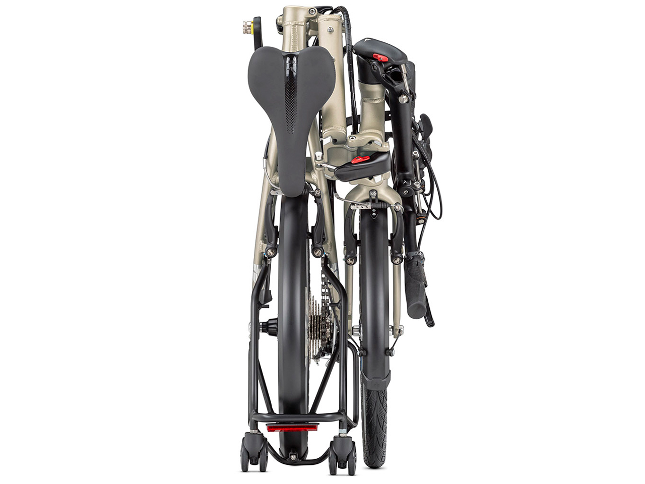 BYB P8 2021�N���f�� [Champagne]