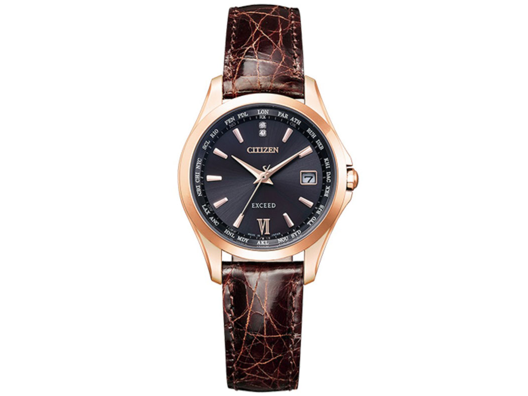 �G�N�V�[�h �G�R�E�h���C�u�d�g���v �u�����v�w�̓��v���胂�f�� EC1122-02E �̐��i�摜