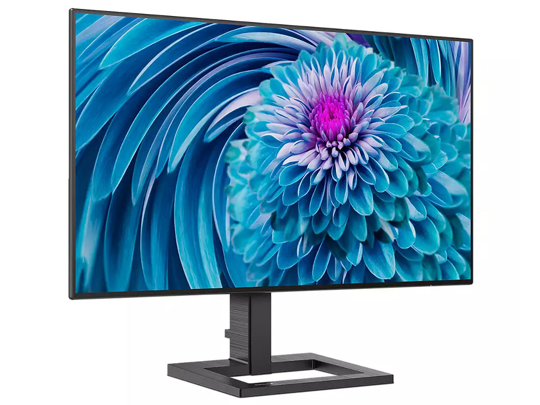 242E2FE/11 [23.8�C���` �u���b�N]