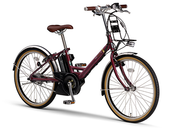 PAS CITY-V PA24CV 2021�N���f�� [�o�[�K���f�B] + ��p�[�d��