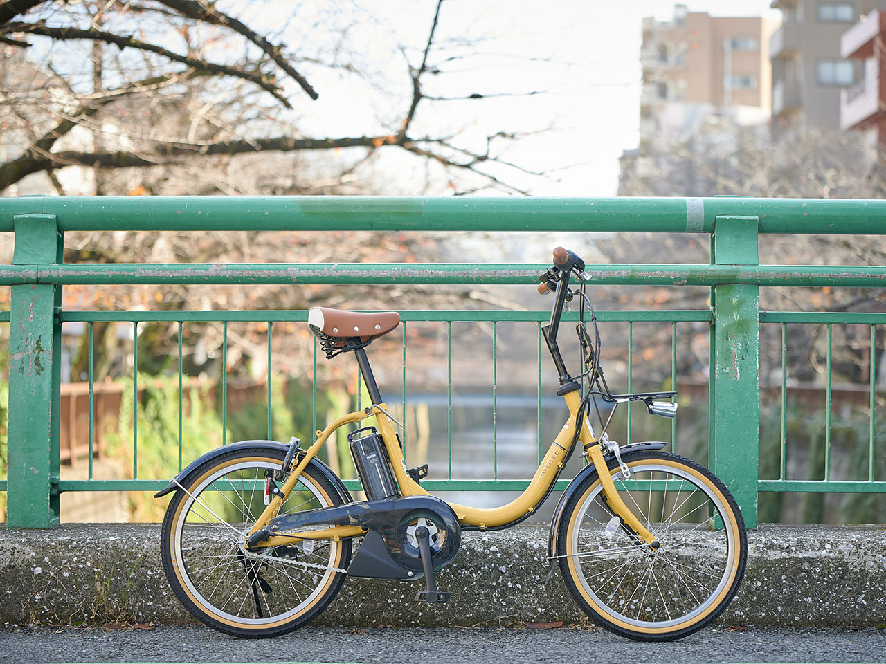 PAS CITY-C PA20CC 2021�N���f�� [�O���X�X���[�N�C�G���[] + ��p�[�d��