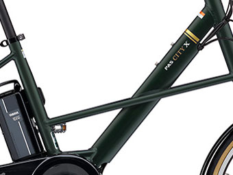 PAS CITY-X PA20CX 2021�N���f�� [�}�b�g�_�[�N�O���[��2] + ��p�[�d��