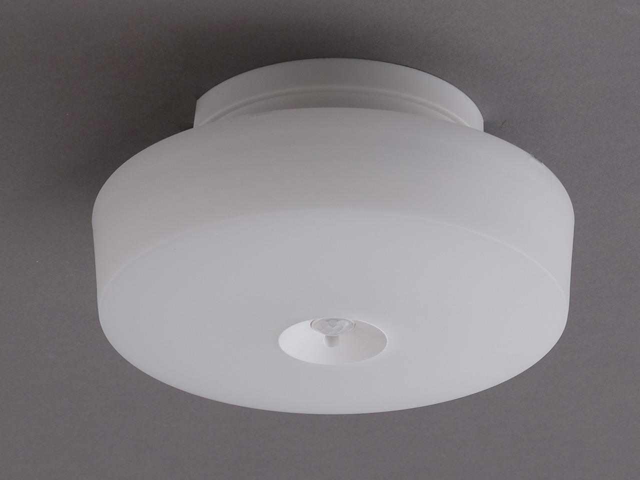 ECOHiLUX SCL16NMS-MCHL �̐��i�摜