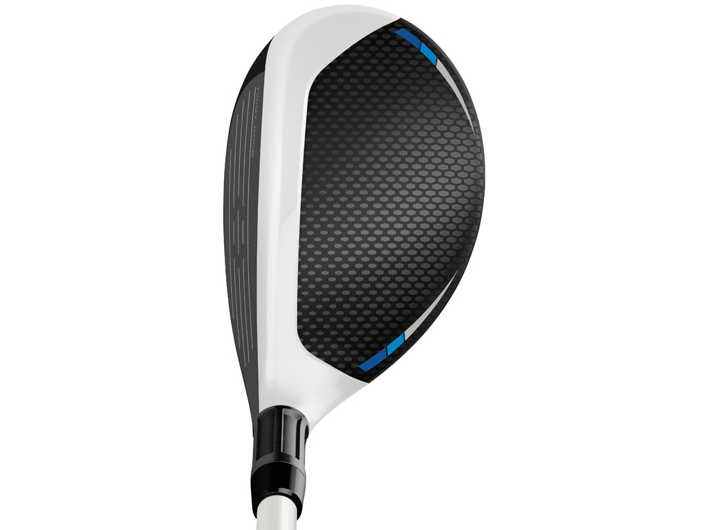 SIM2 MAX ���X�L���[ ���[�e�B���e�B�[ ���f�B�[�X [TENSEI BLUE TM40 �t���b�N�X�FL ���t�g�F22]