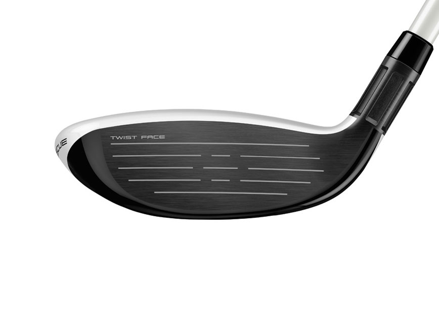 SIM2 MAX ���X�L���[ ���[�e�B���e�B�[ ���f�B�[�X [TENSEI BLUE TM40 �t���b�N�X�FL ���t�g�F22]