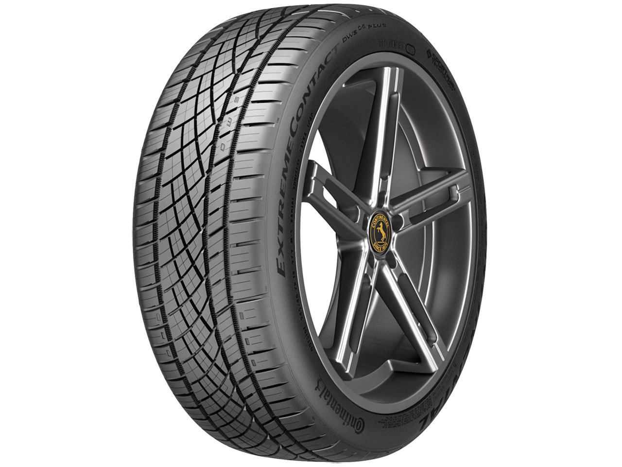 ExtremeContact DWS06 PLUS 225/45ZR18 91Y
