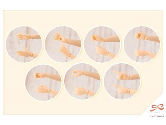�n�ʏ����뉀 1/10 ���� ���c�J ���A�C���X���w���������E�ĕ�