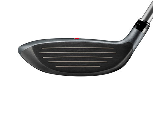 Carrys Q �t�F�A�E�F�C�E�b�h [REG ���t�g�F16.5]