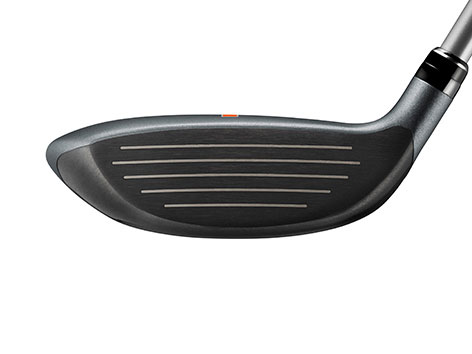 Carrys Q �t�F�A�E�F�C�E�b�h [REG ���t�g�F19]