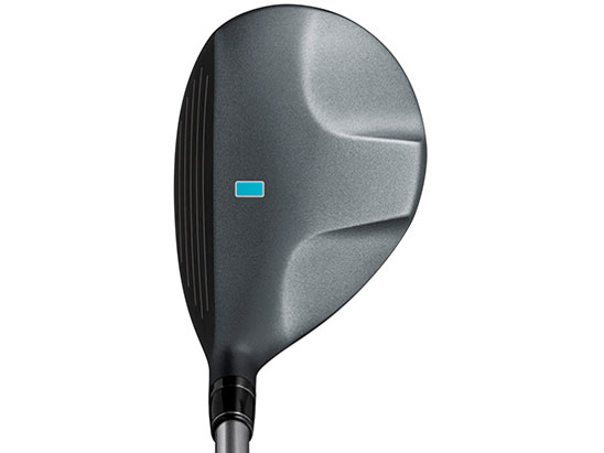 Carrys Q ���[�e�B���e�B�[ [REG ���t�g�F24]