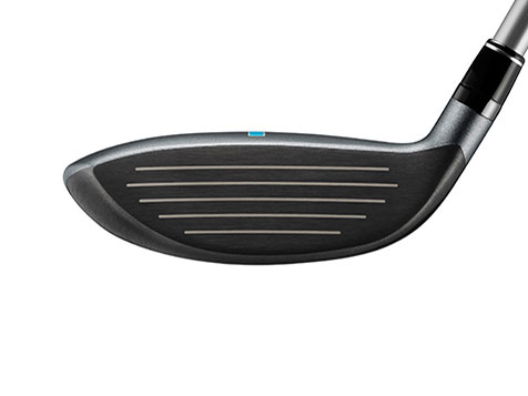 Carrys Q ���[�e�B���e�B�[ [REG ���t�g�F24]