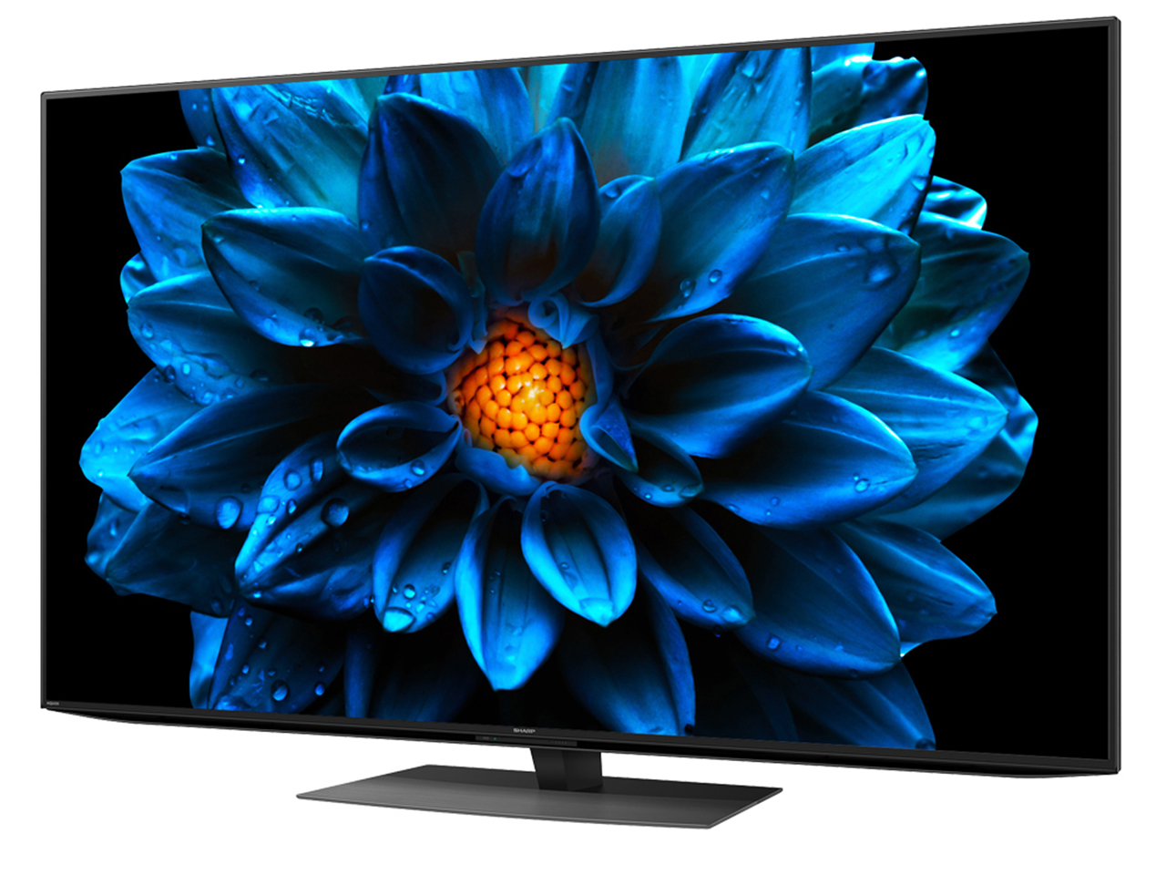 AQUOS 4K 4T-C70DN1 [70�C���`]