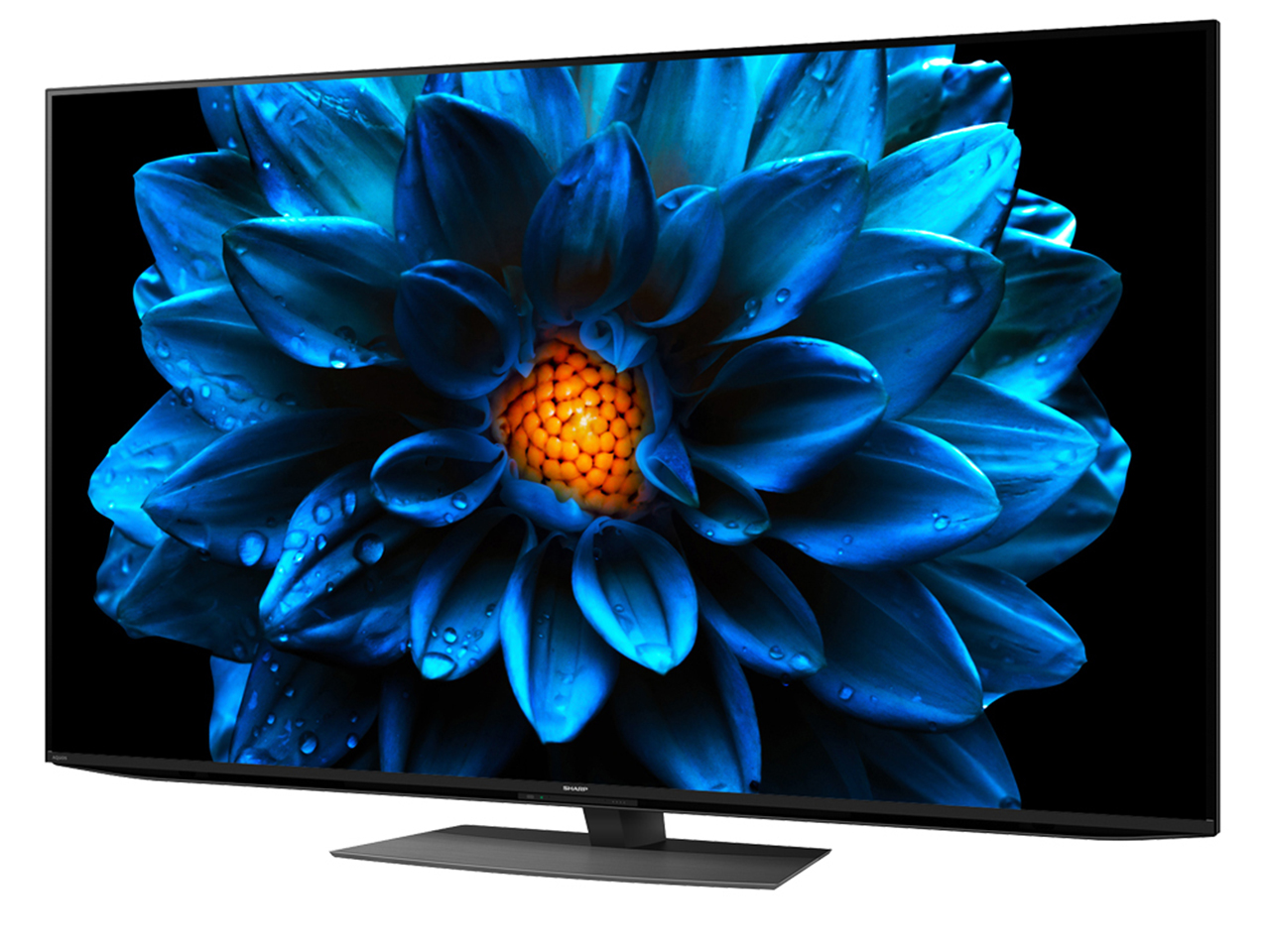 AQUOS 4K 4T-C65DN1 [65�C���`]