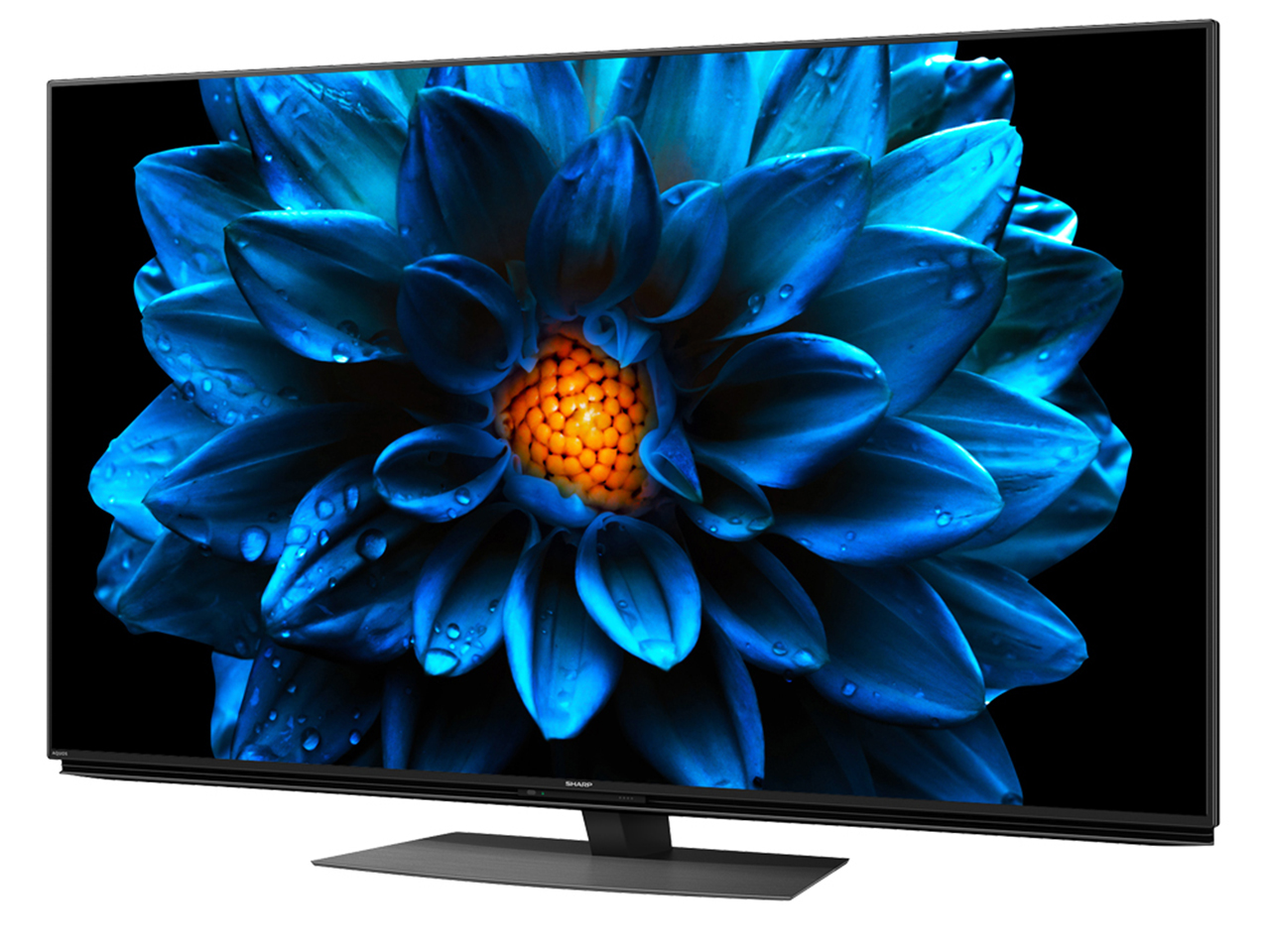 AQUOS 4K 4T-C60DN1 [60�C���`]