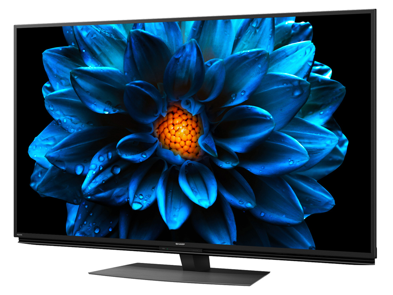 AQUOS 4K 4T-C55DN1 [55�C���`]