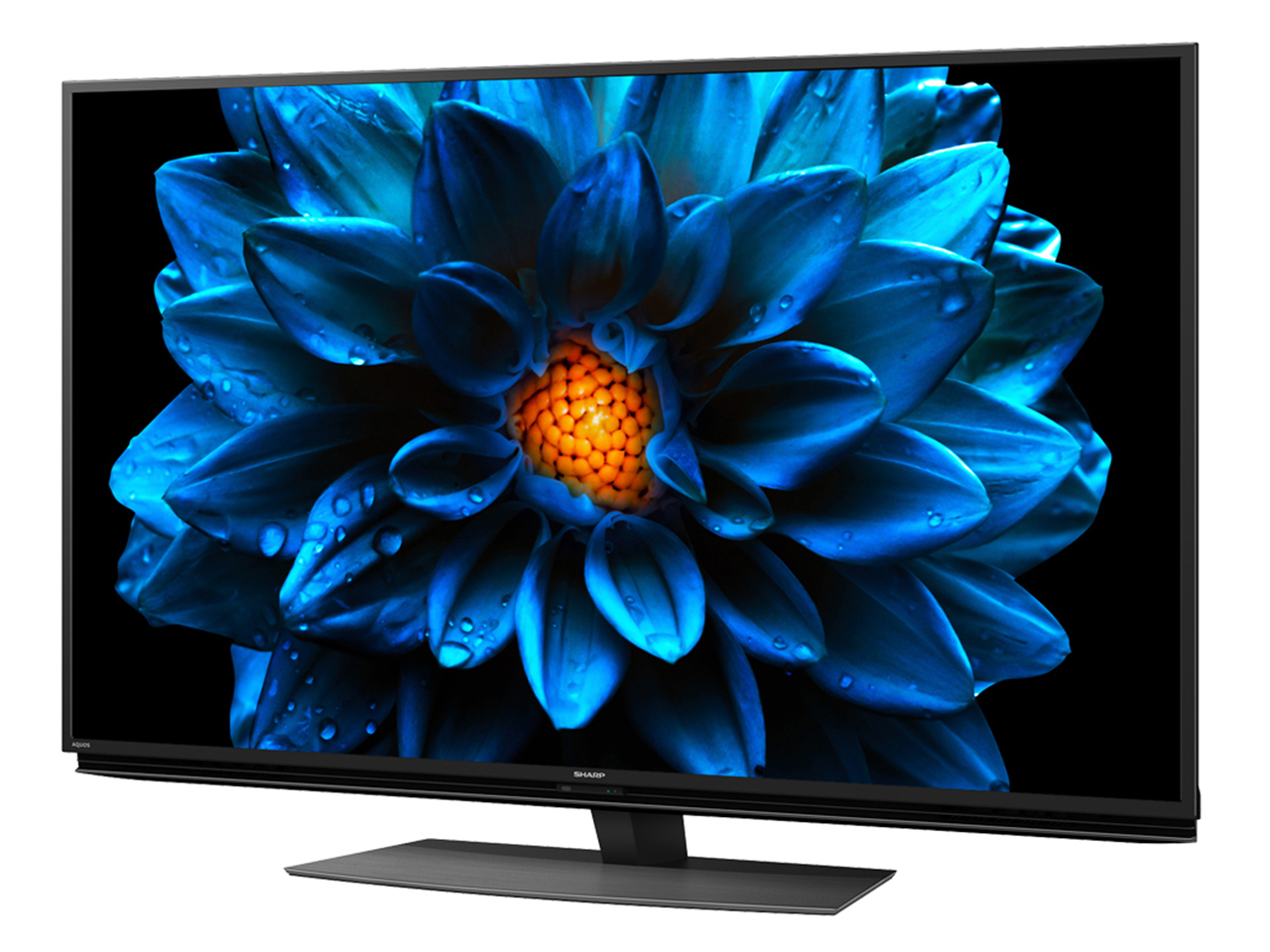 AQUOS 4K 4T-C50DN2 [50�C���`]