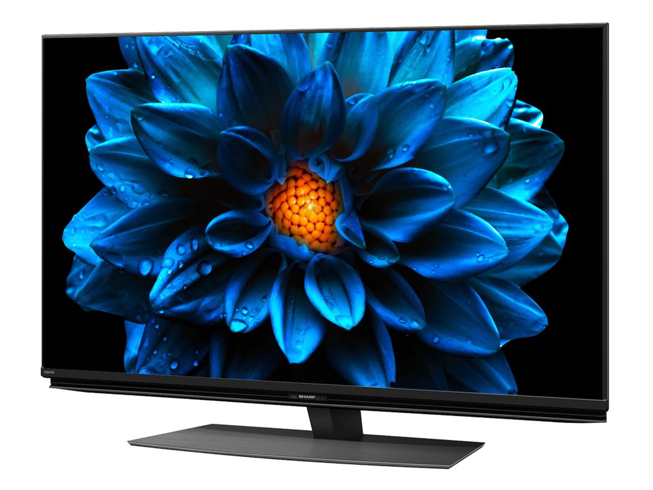 AQUOS 4K 4T-C43DN2 [43�C���`]