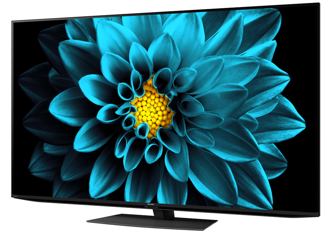 AQUOS 4K 4T-C65DL1 [65�C���`]