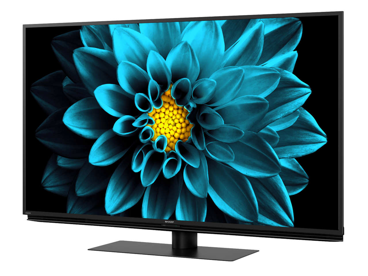 AQUOS 4K 4T-C50DL1 [50�C���`]