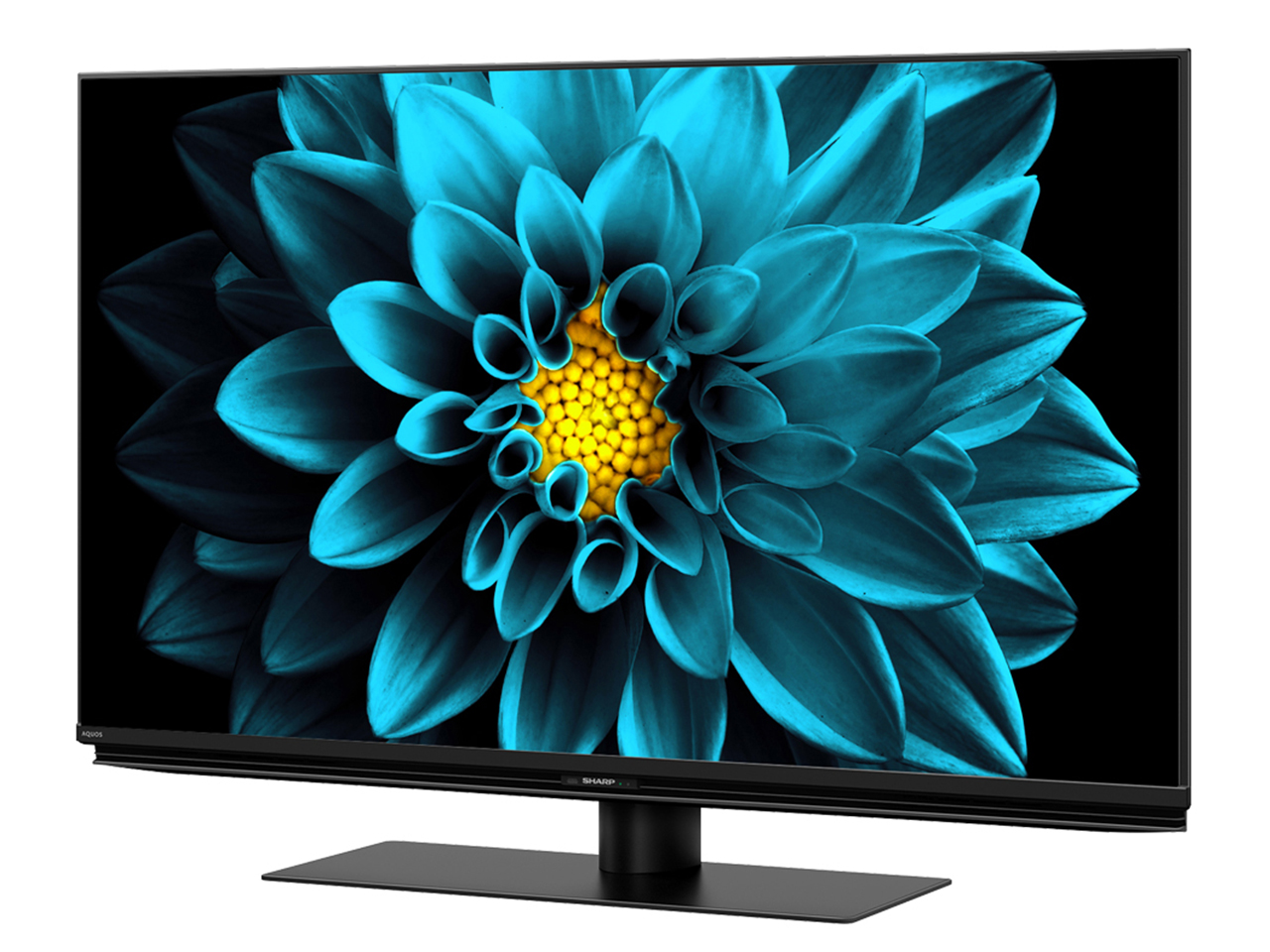 AQUOS 4K 4T-C43DL1 [43�C���`]