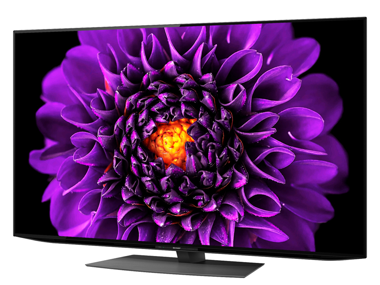 AQUOS OLED 4T-C55DS1 [55�C���`]