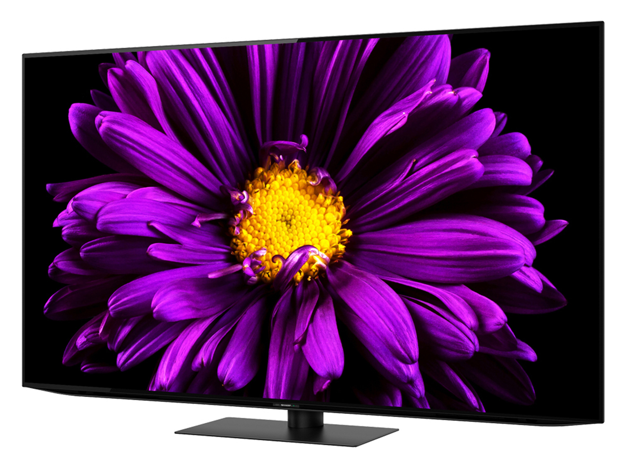 AQUOS OLED 4T-C65DQ1 [65�C���`]