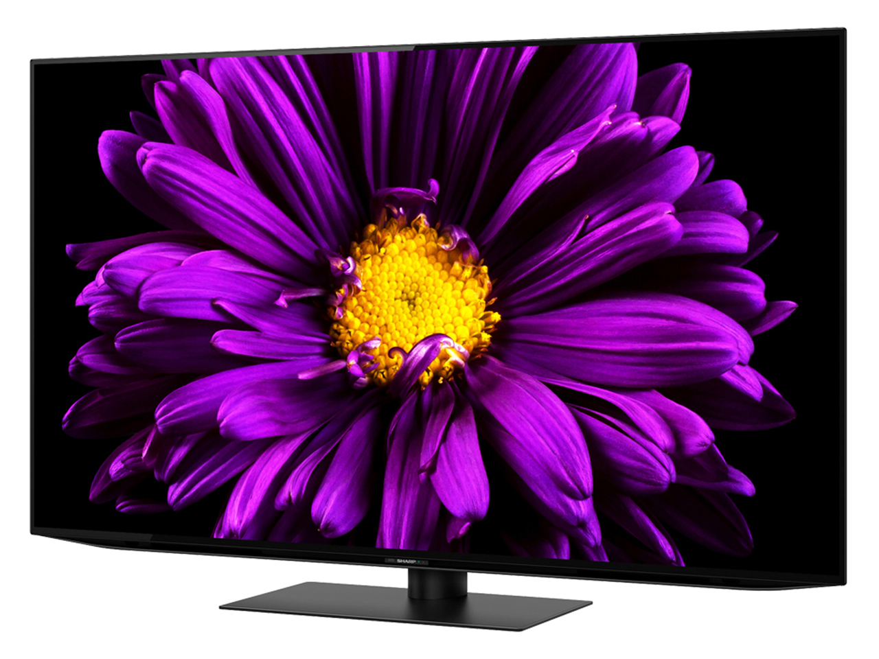 AQUOS OLED 4T-C55DQ1 [55�C���`]