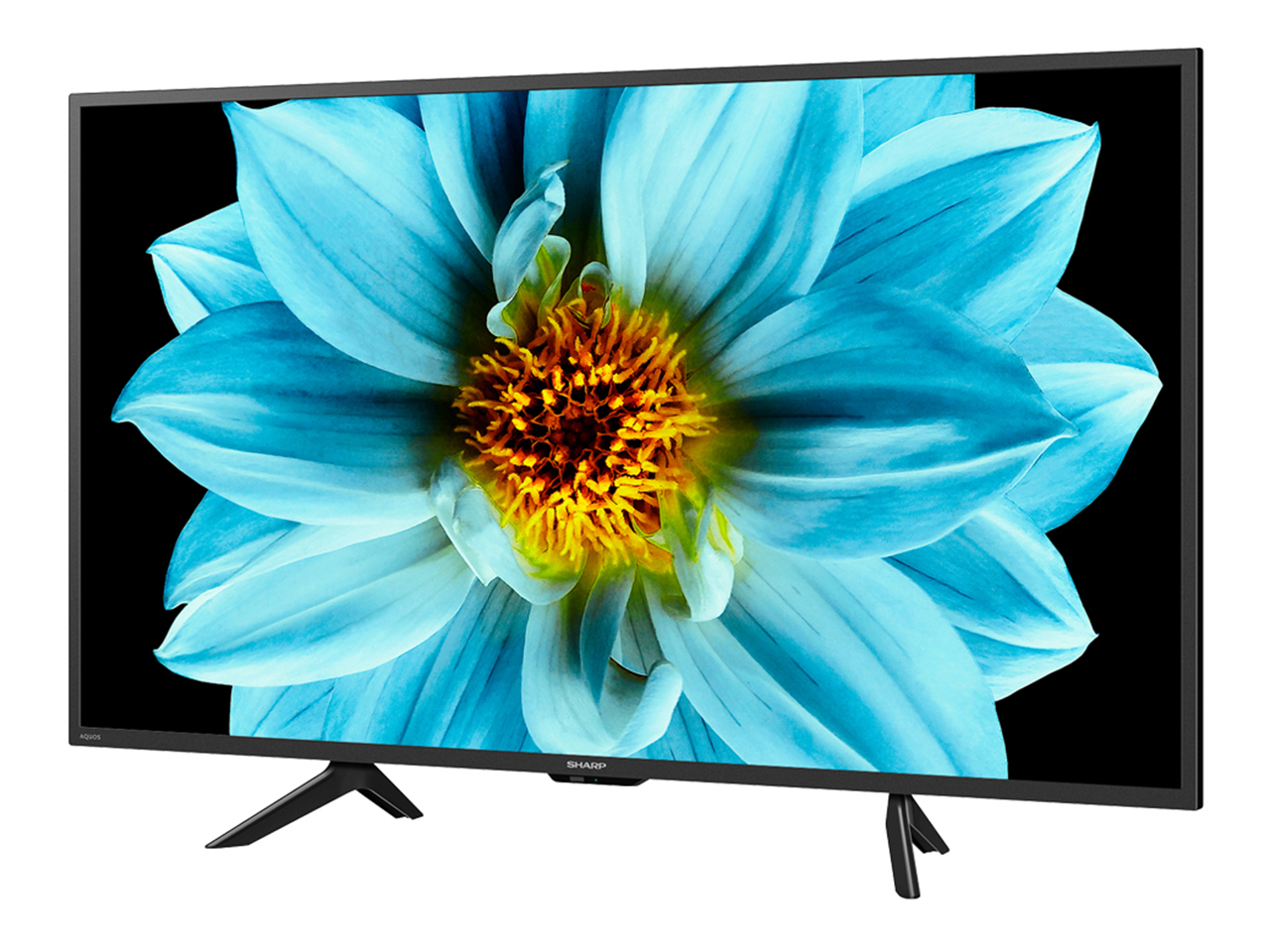 AQUOS 4K 4T-C42DJ1 [42�C���`]