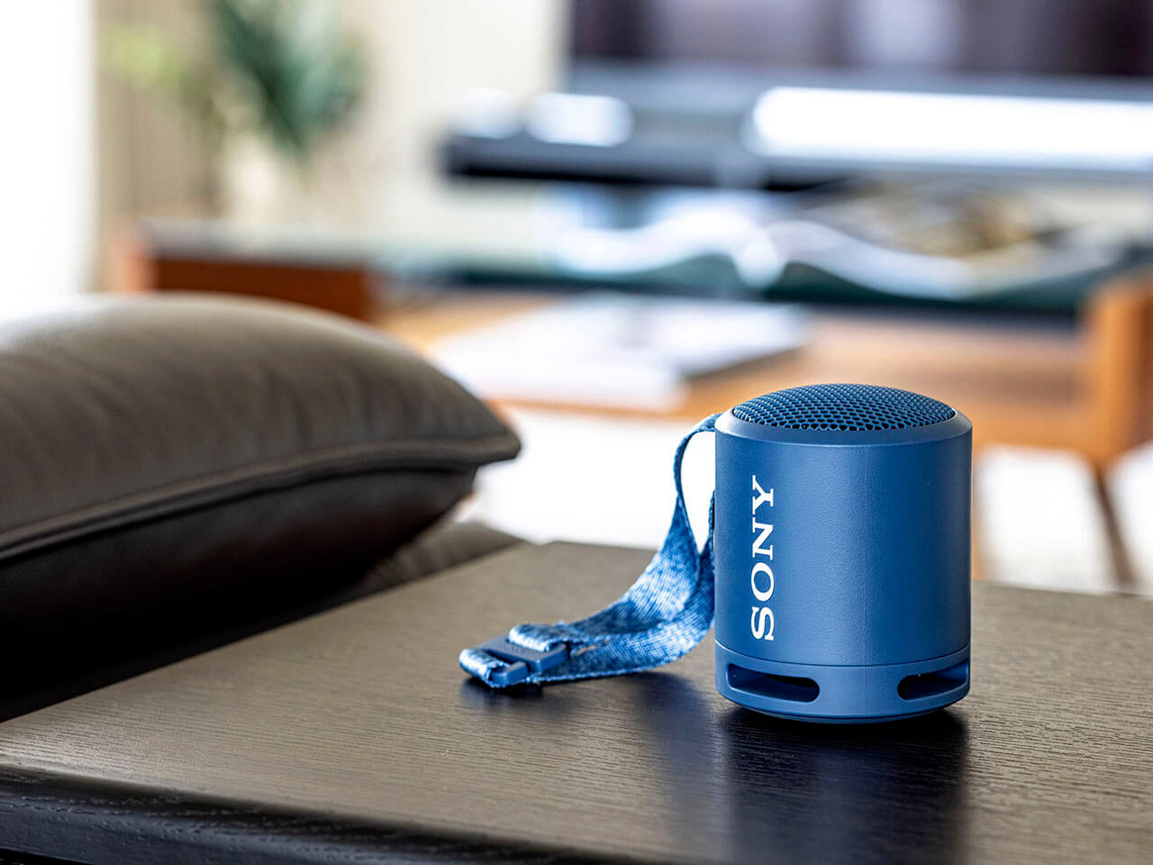 SRS-XB13 (L) [���C�g�u���[]