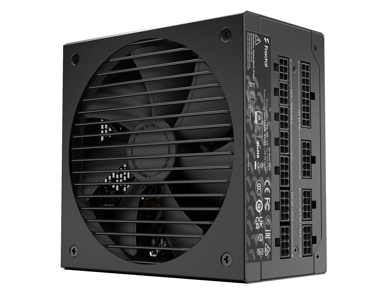 ION Gold 750W FD-P-IA2G-750 [�u���b�N] �̐��i�摜