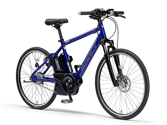 PAS Brace PA26B 2021�N���f�� [�O���X�u���[] + ��p�[�d��